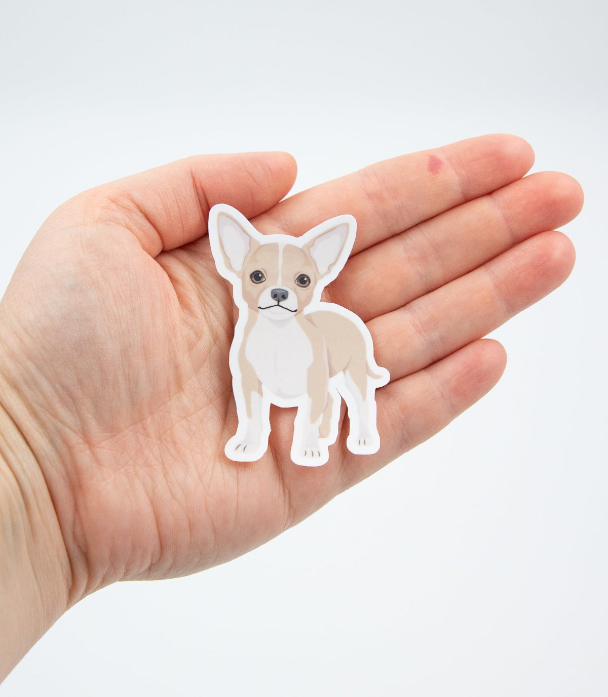 Vinyylinen piirretty chihuahua chihu tarra