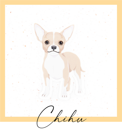 Vinyylinen piirretty chihuahua chihu tarra
