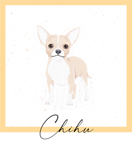 Vinyylinen piirretty chihuahua chihu tarra