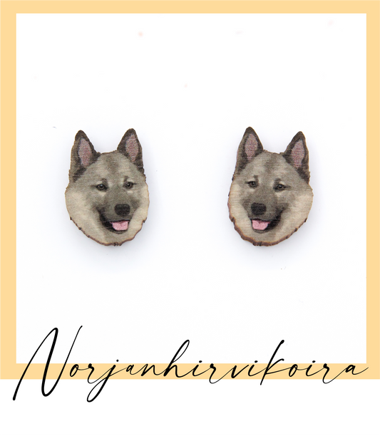 Harmaa norjanhirvikoira-nappikorvakorut