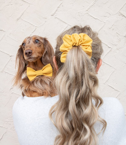 Keltainen rusetti koiralle ja scrunchie hiusdonitsi omistajalle, yhteensopivat tuotteet koiralle ja omistajalle