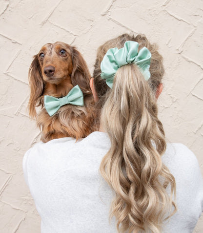 Mintun värinen satiini rusetti koiralle ja scrunchie hiusdonitsi omistajalle, yhteensopivat tuotteet koiralle ja omistajalle