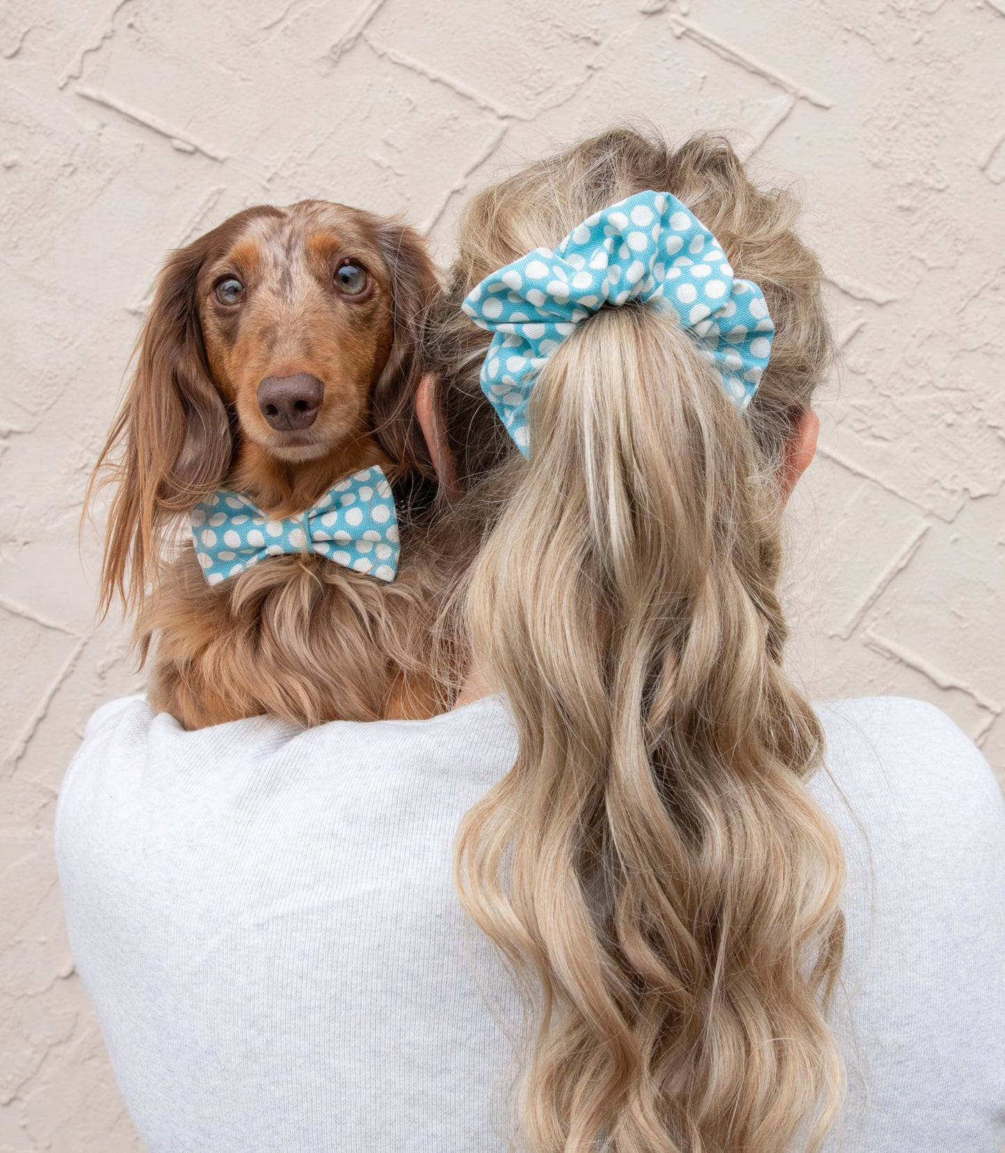 Sininen pilkullinen rusetti koiralle ja scrunchie hiusdonitsi omistajalle, yhteensopivat tuotteet koiralle ja omistajalle