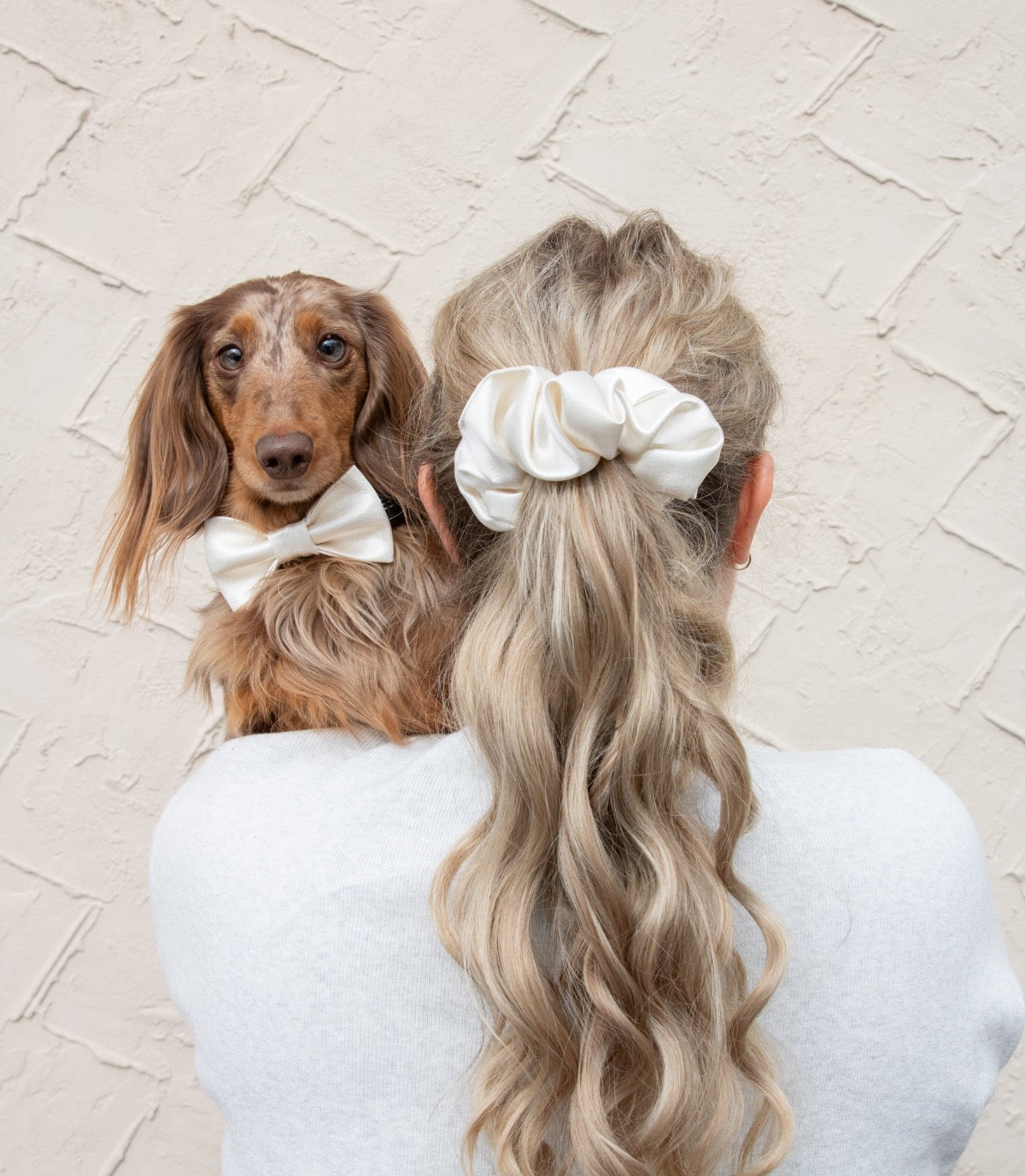 Valkoinen satiininen rusetti koiralle ja scrunchie hiusdonitsi omistajalle, yhteensopivat tuotteet koiralle ja omistajalle