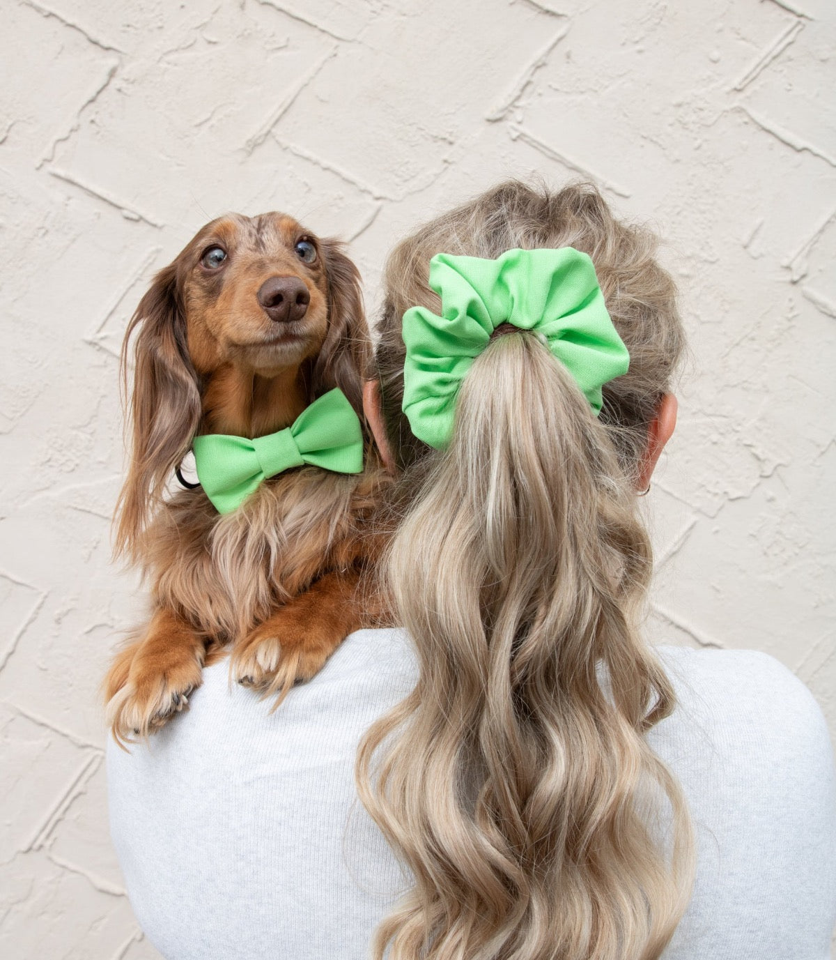 Vaalean vihreä rusetti koiralle ja scrunchie hiusdonitsi omistajalle, yhteensopivat tuotteet koiralle ja omistajalle